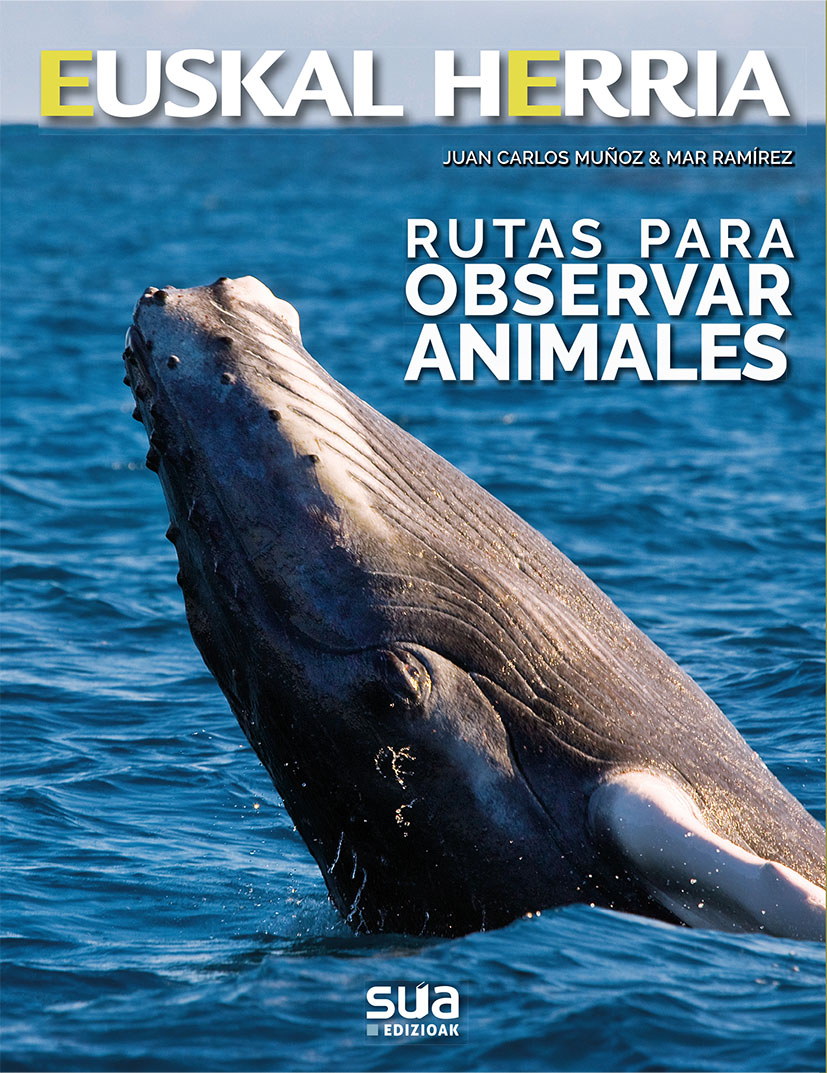 EH36_ANIMALES Observacion(cubierta).indd